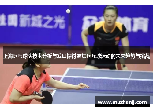 上海乒乓球队技术分析与发展探讨聚焦乒乓球运动的未来趋势与挑战