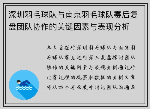 深圳羽毛球队与南京羽毛球队赛后复盘团队协作的关键因素与表现分析
