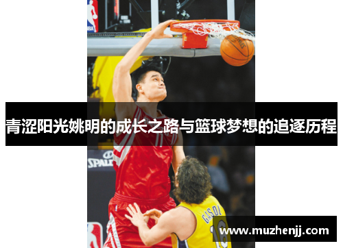 青涩阳光姚明的成长之路与篮球梦想的追逐历程