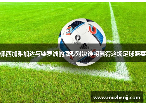 佩西加雅加达与婆罗洲的激烈对决谁将赢得这场足球盛宴